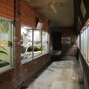 Tropical Reptile House - Ballarat Wildlife Park May 2013