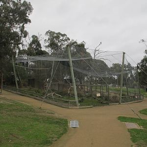 Wedge-tailed Eagle Aviary - Ballarat Wildlife Park May 2013