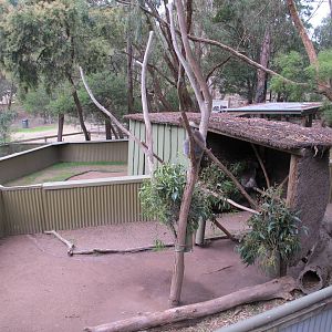 Koala Enclosures - Ballarat Wildlife Park May 2013