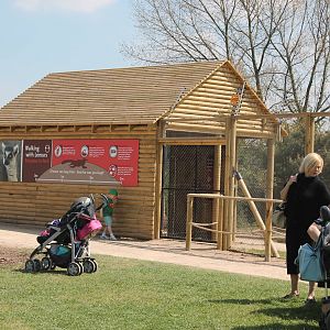 Lemur walkthrough, entrance building 2013