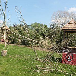 Lemur walkthrough 2013