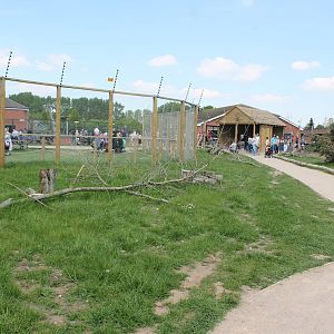 lemur walkthrough 2013