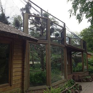 Lille Zoo lemur enclosure