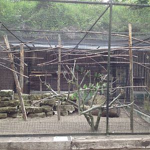 Lille Zoo aviary