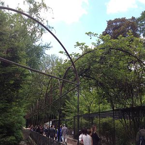 Lille Zoo avenue lined by traditional cages and pens