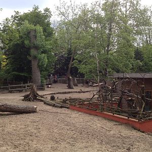 Lille Zoo South American paddock