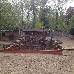 Lille Zoo South American paddock