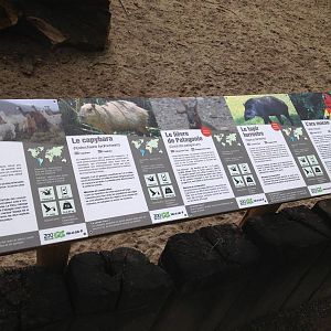 Lille Zoo South American paddock