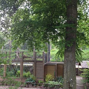 Lille Zoo lemur enclosure