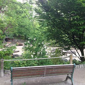 Lille Zoo African paddock