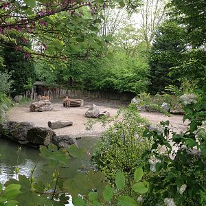 Lille Zoo African paddock