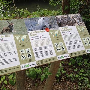 Lille Zoo African paddock