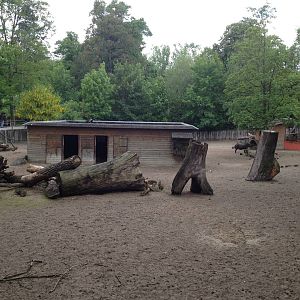 Lille Zoo South American paddock