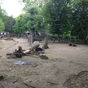 Lille Zoo South American paddock