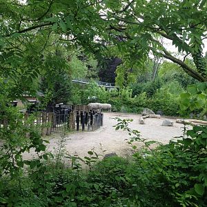 Lille Zoo African paddock