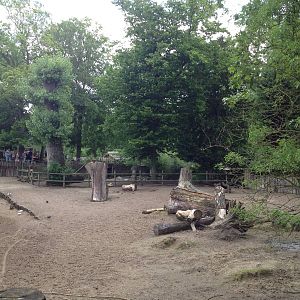 Lille Zoo South American paddock