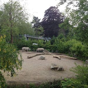 Lille Zoo African paddock