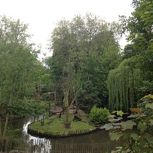 Lille Zoo primate islands
