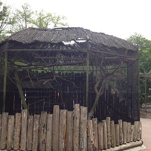 Lille Zoo empty enclosure