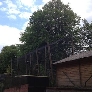 Lille Zoo lemur enclosure