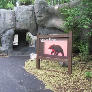 North America Grizzly Bear Exhibit