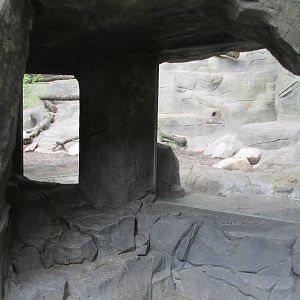 North America Grizzly Bear Exhibit