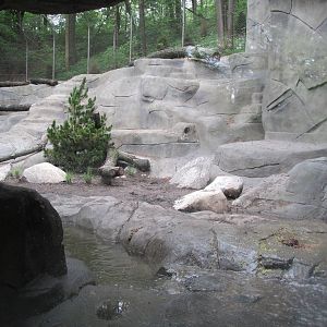 North America Grizzly Bear Exhibit