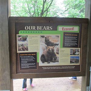 North America Grizzly Bear Exhibit