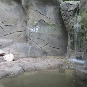 North America Grizzly Bear Exhibit