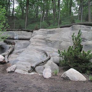 North America Grizzly Bear Exhibit