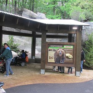 North America Grizzly Bear Exhibit