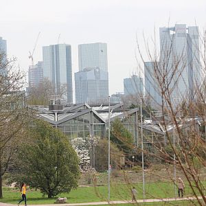 View of greenhouses