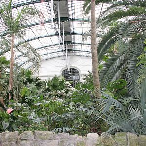 View inside palm house