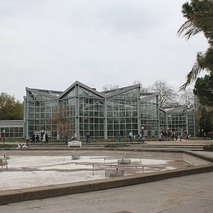 View of greenhouses