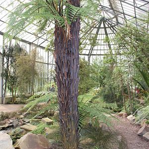 View inside sub-Antarctic house