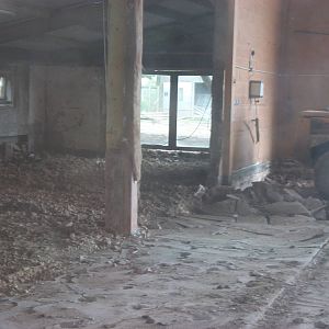 Former Elephant House and paddock being converted for Indian Rhinos 31st Ma