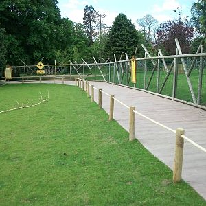 Wallaby Walkway 31st May 2013