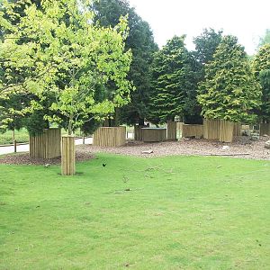 Wallaby Walkway 31st May 2013