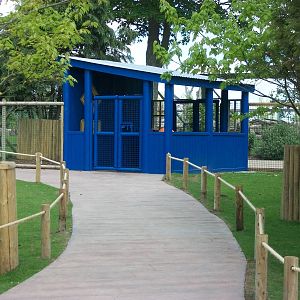 Wallaby Walkway 31st May 2013