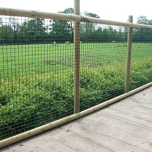 Wallaby Walkway 31st May 2013