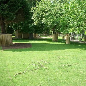 Wallaby Walkway 31st May 2013