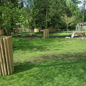 Wallaby Walkway 31st May 2013