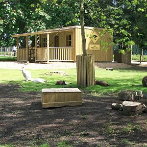 Wallaby Walkway 31st May 2013