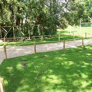 Wallaby Walkway 31st May 2013