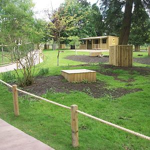 Wallaby Walkway 31st May 2013