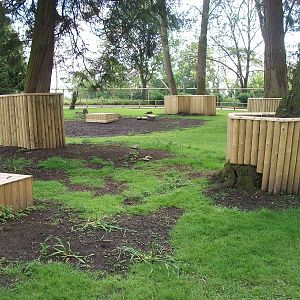 Wallaby Walkway 31st May 2013