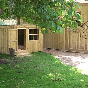 Wallaby Walkway 31st May 2013