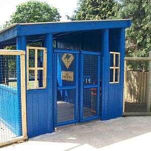 Wallaby Walkway 31st May 2013