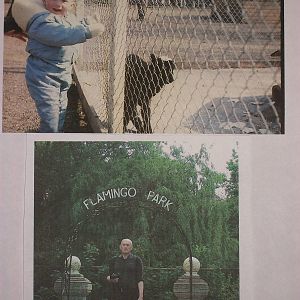 Where did the time go?