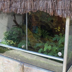 Zoo am Meer - Terrarium